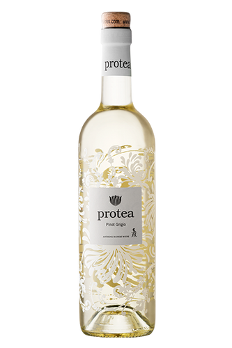 2024 Anthonij Rupert Protea Pinot Grigio アントニー ルパート プロテア ピノ・グリージョ