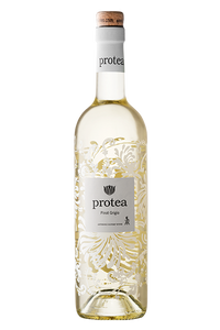 2024 Anthonij Rupert Protea Pinot Grigio アントニー ルパート プロテア ピノ・グリージョ