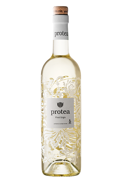 2024 Anthonij Rupert Protea Pinot Grigio アントニー ルパート プロテア ピノ・グリージョ