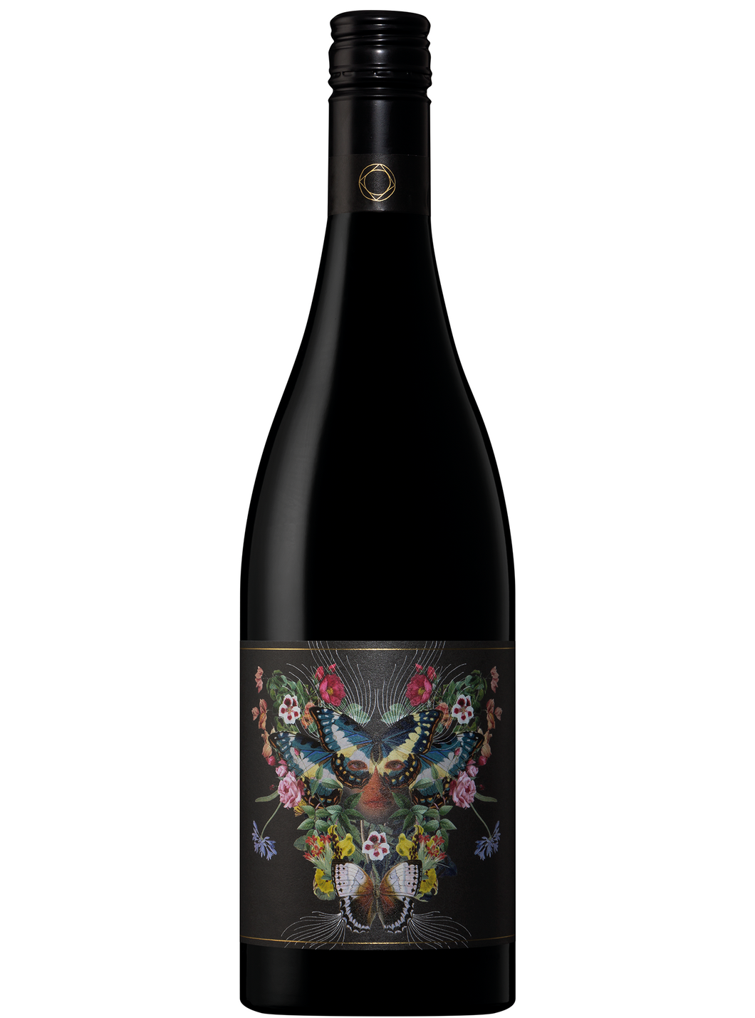 2021 ADELINA SHIRAZ MATARO |	アデリーナ　シラーズ マタロ