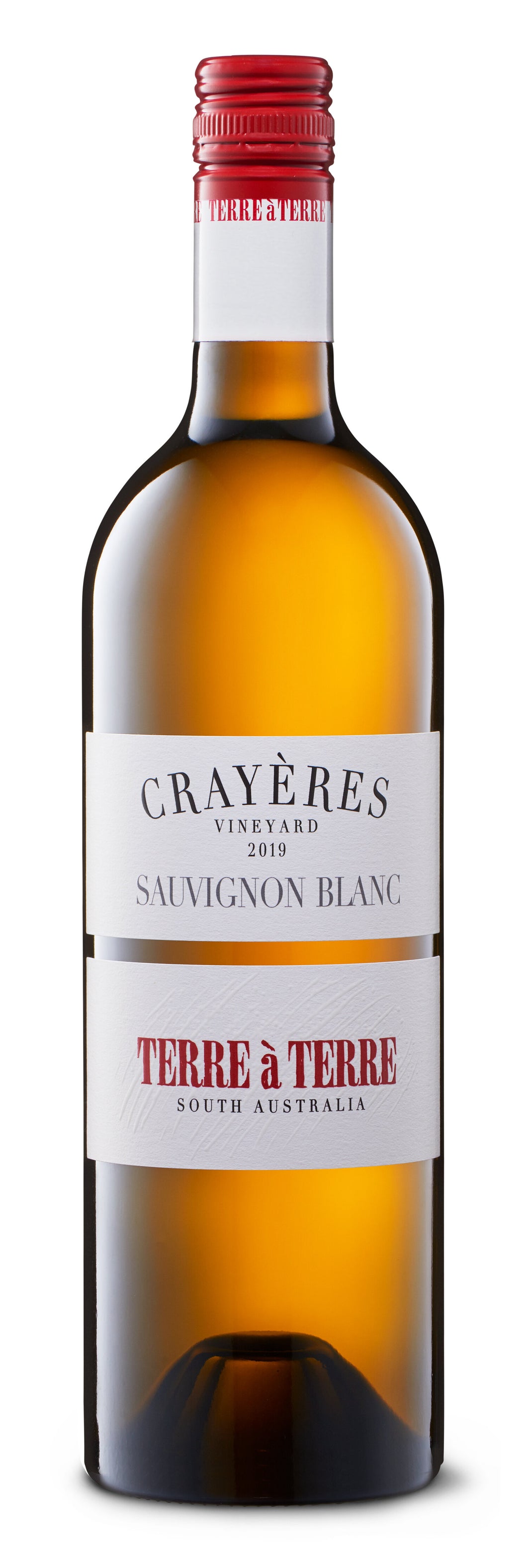 2021 Terre A Terre Crayères Vineyard Sauvignon Blanc  | テーラ・テール・ソーヴィニヨン・ブラン