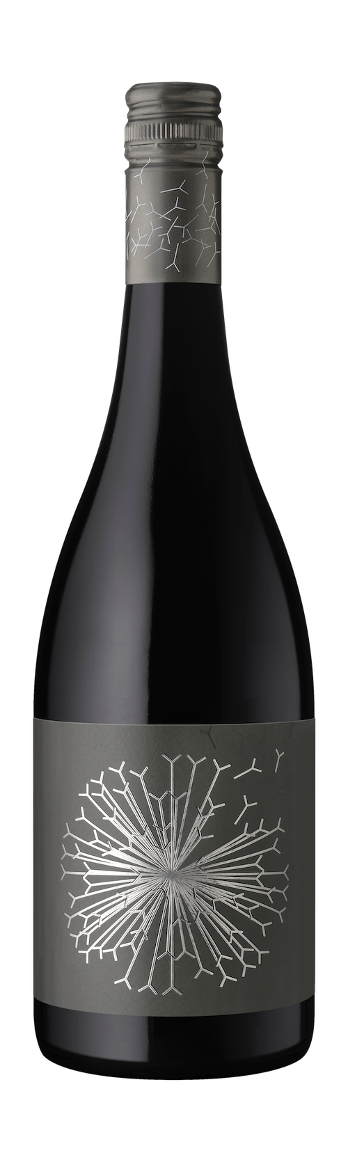 2022 Dandelion Vineyards Firehawk of McLaren Vale Shiraz | ファイヤーホーク　オブ　マクラーレンヴェール　シラーズ